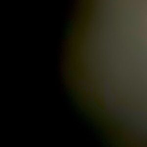 Meet your Posher, Dalia